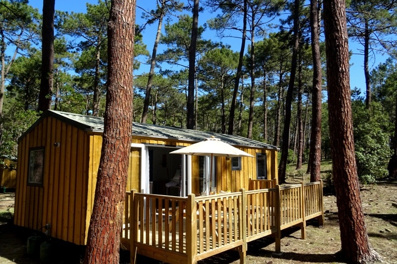 Premium Cottage 33.80m²