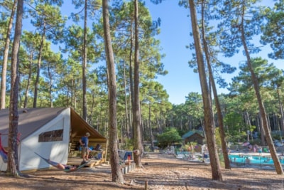 Lodge 17m² without toilet blocks