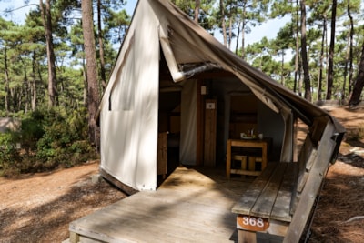 Lodge 17m² without toilet blocks