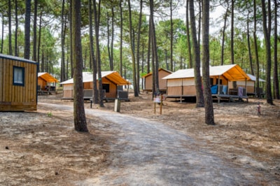 Lodge Confort 30m²