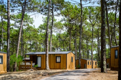 Premuim Cottage 3 Bedrooms 28m2