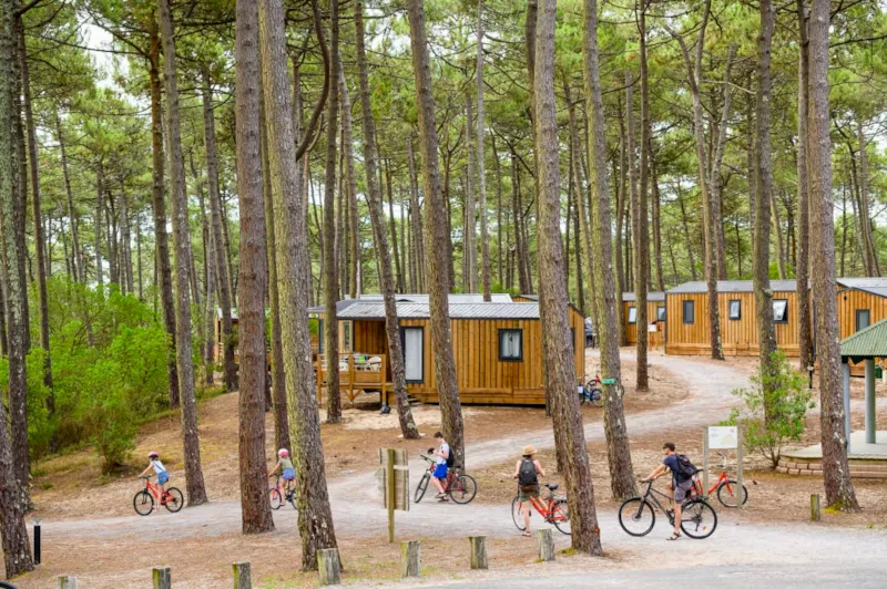 Cottage Premium  2 Chambres 25M2