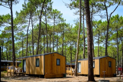 Cottage Premium 2 Bedrooms 25m2