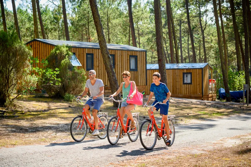 Cottage Premium  2 Chambres 25M2