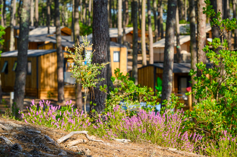 Wellness Sport Camping Carcans — Photo 2