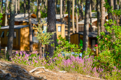 Wellness Sport Camping Carcans