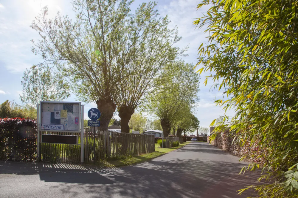 Camping de ZeeKoning *** - image n°1 - Camping2Be