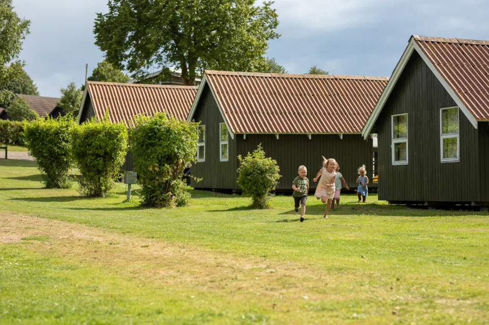 De Hvide Svaner Camping