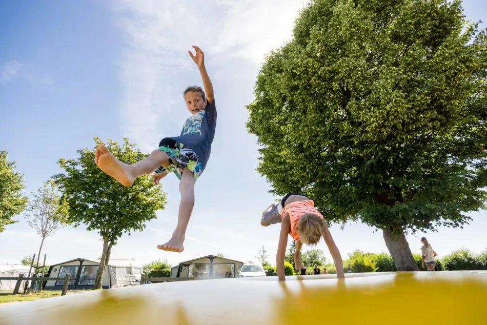 De Hvide Svaner Camping