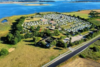 Stellplatz - Stellplatz Mit Strom - De Hvide Svaner Camping