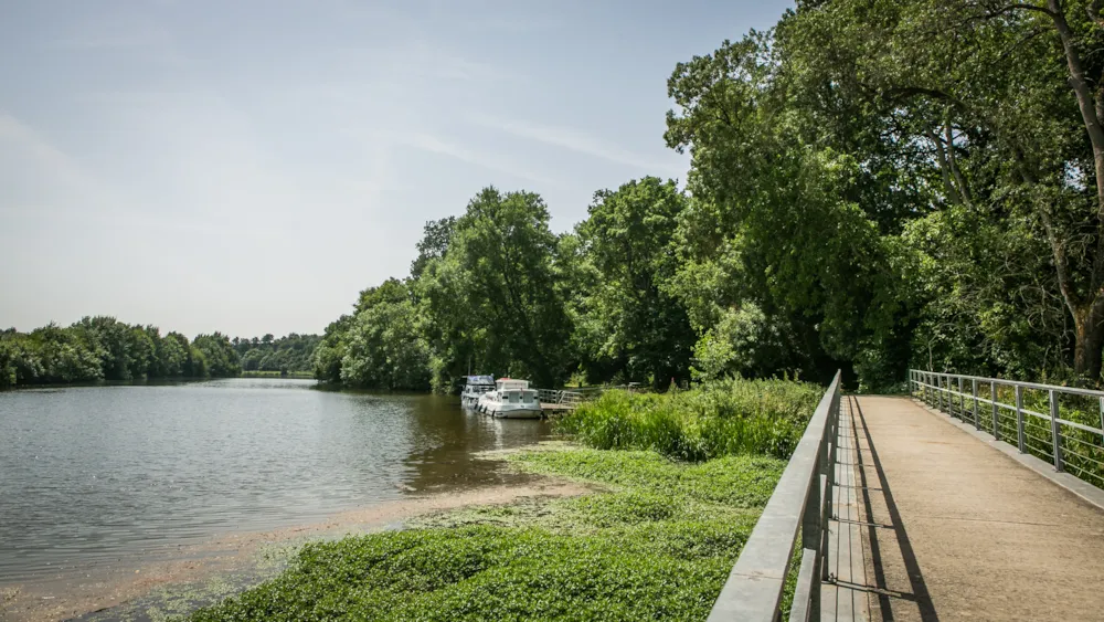 Camping du Lion d'Angers