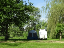 Camping du Lion d'Angers - image n°3 - Roulottes