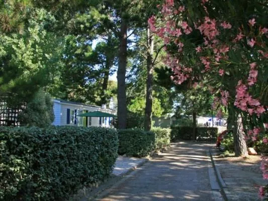 Chadotel Les Jardins Catalans