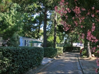 Chadotel Les Jardins Catalans