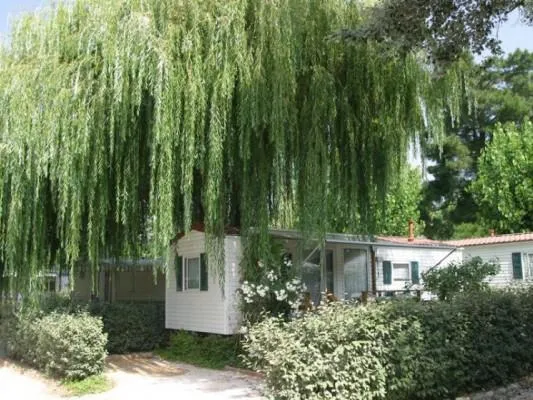 Chadotel Les Jardins Catalans - image n°4 - Camping Direct