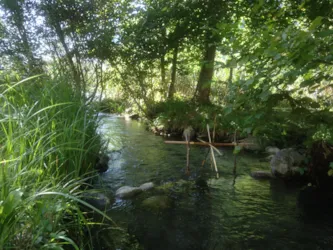 Camping Valbonheur - image n°3 - Camping Direct