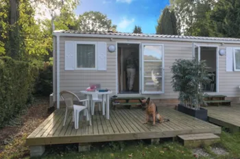 Mietunterkunft - Mobilheim Romarin +++ 1 Zimmer - Camping Le Pré des Moines