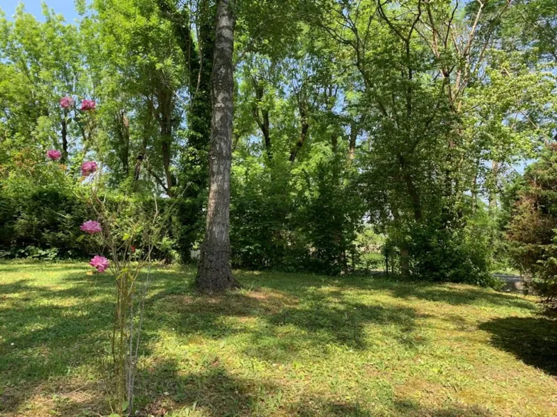 Forfait Emplacement Tente (Avec Électricité)