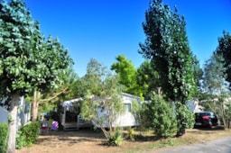 Location - Vert Bois 3 Chambres 35M² - Camping Aqua 3 Masses