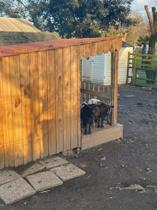 Camping Aqua 3 Masses - image n°4 - Camping Direct