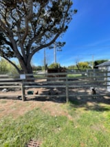 Foto #7 van Camping Aqua 3 Masses