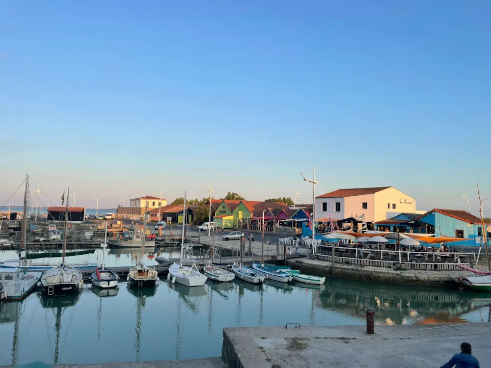 Camping Aqua 3 Masses