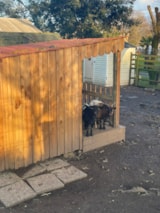 Foto #37 van Camping Aqua 3 Masses