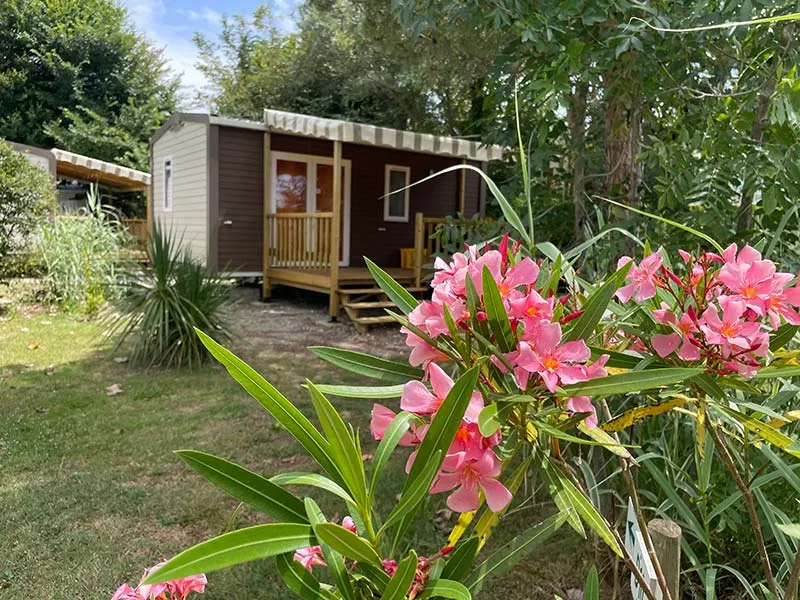 Camping Aqua 3 Masses