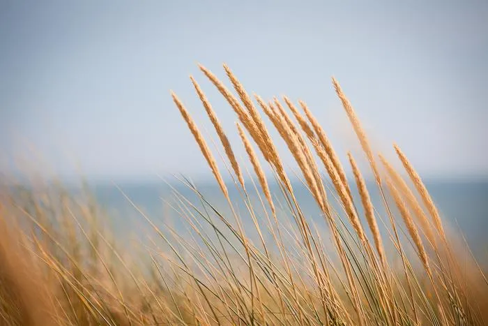 Clico Chic - Village Vacances Le Petit Bec