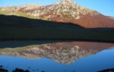 Foto #27 van International Camping Village