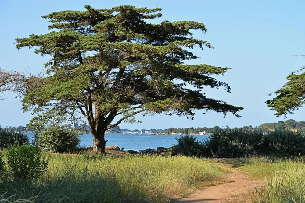 Camping Ker Eden - image n°24 - UniversalBooking