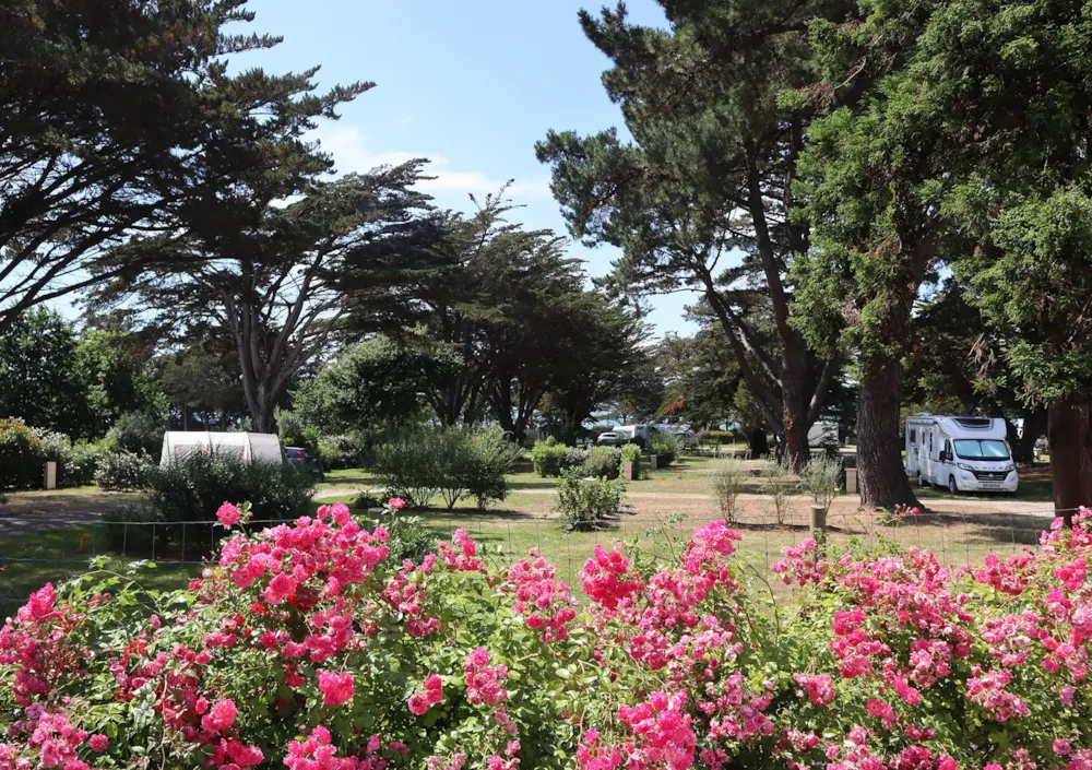 Camping Ker Eden - image n°5 - UniversalBooking