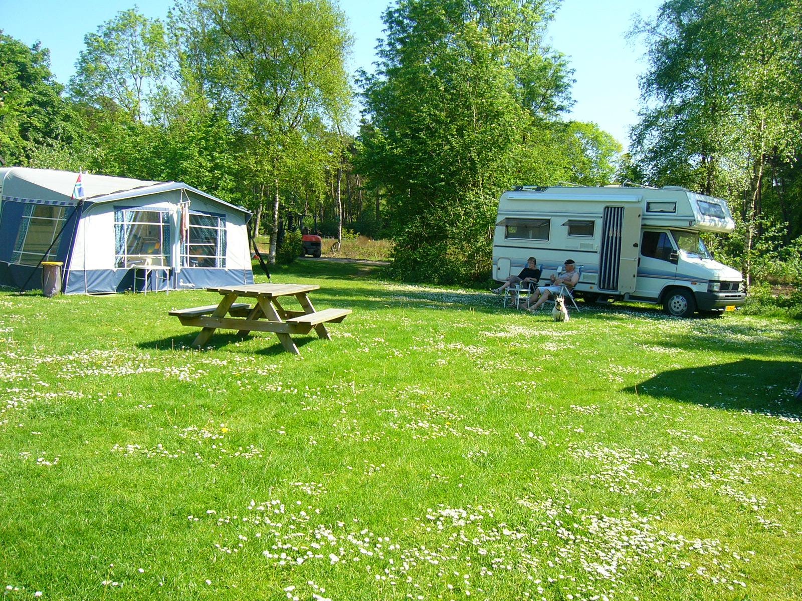Camping de Bosrand — Photo 4