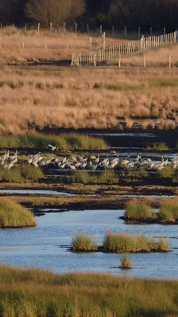 Camping Des Familles