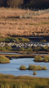 Foto #49 van Camping Des Familles