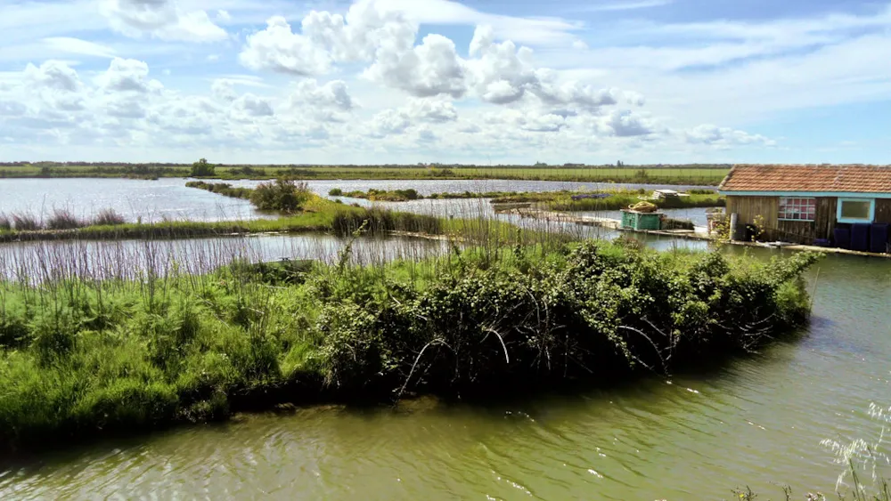 Camping Des Familles