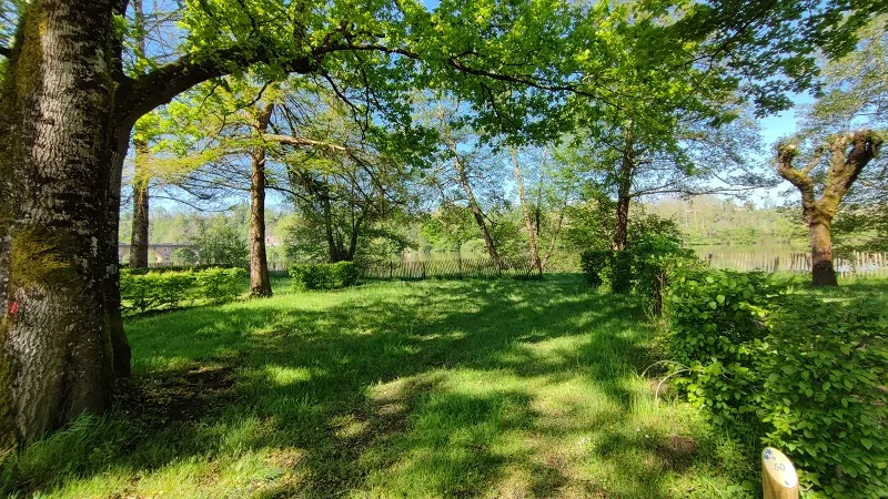Emplacement Bord De Rivière (1 Tente, Caravane Ou Camping-Car / 1 Voiture / Électricité 10A)
