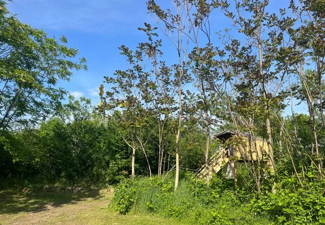  Camping Onlycamp Vauban