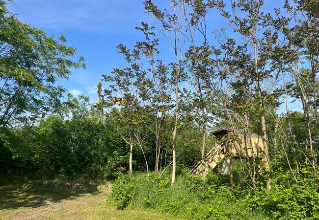  Camping Onlycamp Vauban — Foto 8