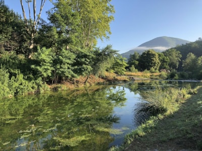 Camping La Bernède