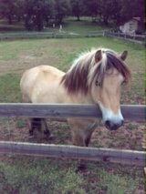 Foto #25 van Domaine du Mas de Saboth