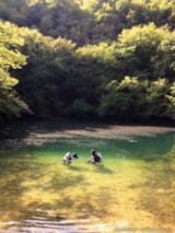 Foto #60 van Domaine du Mas de Saboth