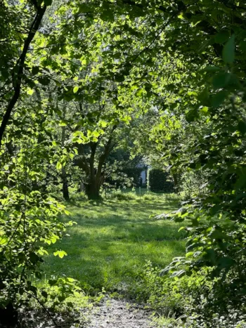 Emplacement - Emplacement : Camping-Car - Natuurkampeerterrein Laaghalerveld