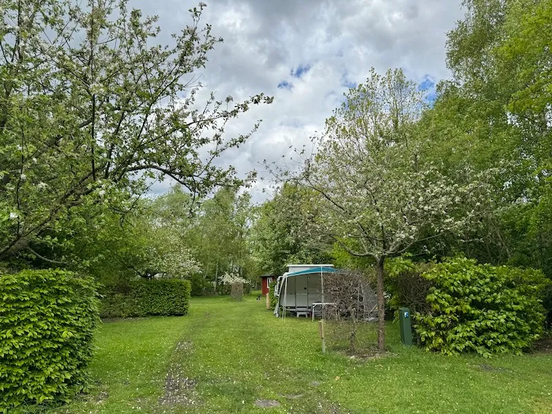 Emplacement - Emplacement: Caravane/Caravane Pliante - Natuurkampeerterrein Laaghalerveld