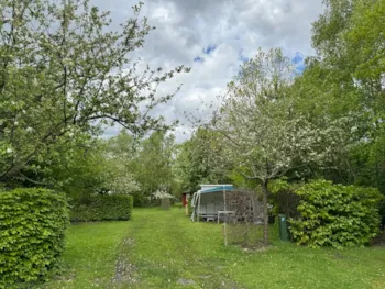 Emplacement - Emplacement: Caravane/Caravane Pliante - Natuurkampeerterrein Laaghalerveld
