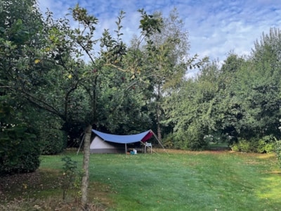 Pitch: caravan/trailer tent