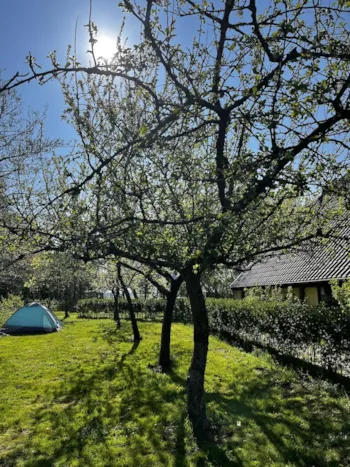 Emplacement - Emplacement: Tente - Natuurkampeerterrein Laaghalerveld