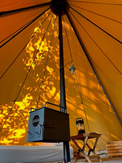 Tipi the Woodpecker