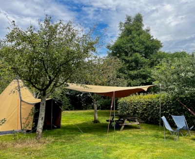Tipi the Woodpecker
