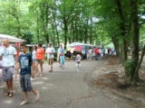 Foto #12 van Recreatiepark d’n Mastendol